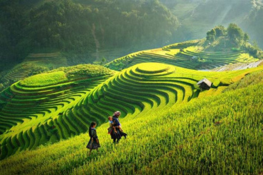 Top 12 điểm du lịch thu hút khách nước ngoài tại Việt Nam