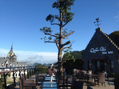 Ghim ngay những quán cà phê đẹp ở Tam Đảo cho bạn thỏa sức check-in và ngắm cảnh siêu chill