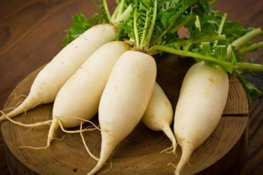 Bật mí những điều bạn chưa biết về củ cải trắng