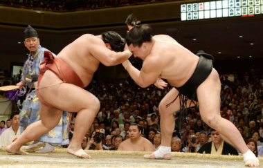 Đấu vật sumo truyền thống được áp dụng thế nào trong gym?