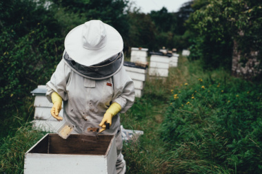 Tăng cân với mật ong: Bạn đã sẵn sàng để khám phá?