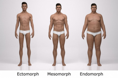 Tạng người endomorph: Tập và ăn gì để giảm cân nhanh?