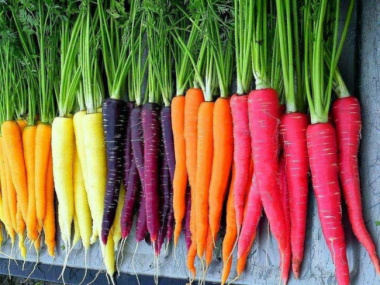 9 lợi ích của cà rốt biến nó thành siêu thực phẩm cần thiết cho nhiều người