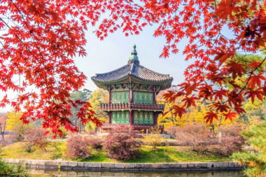 Sắc thu đã phủ lên những cung điện nguy nga ở Hàn Quốc