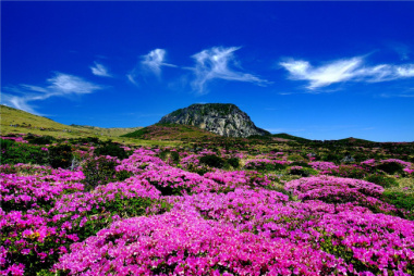 Những điểm đến thú vị nhất định phải ghé thăm khi tới Jeju