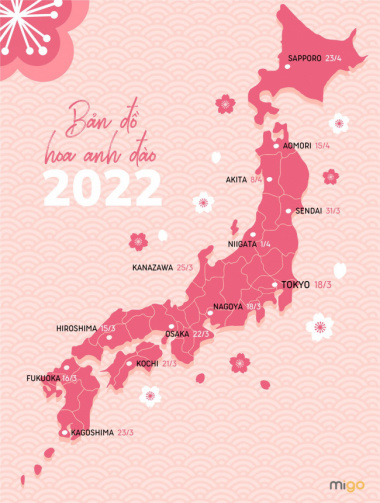 Bản đồ hoa anh đào Nhật Bản cho chuyến đi mùa xuân này