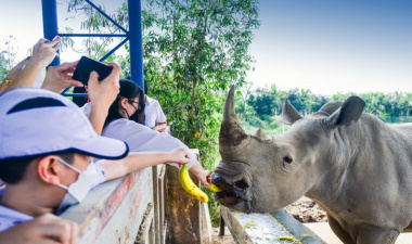 Mỹ Quỳnh Safari – Vườn thú cách Sài Gòn chỉ 40km