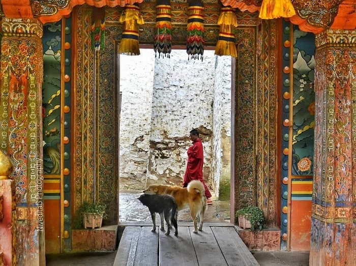 chùa kichu lhakhang bhutan, khám phá, trải nghiệm, chùa kichu lhakhang bhutan – ngôi chùa thiêng lâu đời nhất bhutan