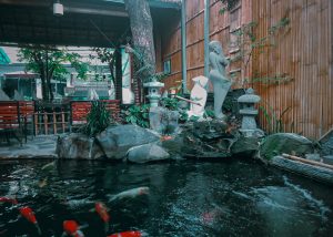 khám phá, top 10+ quán cafe cá koi được yêu thích tại thành phố hồ chí minh