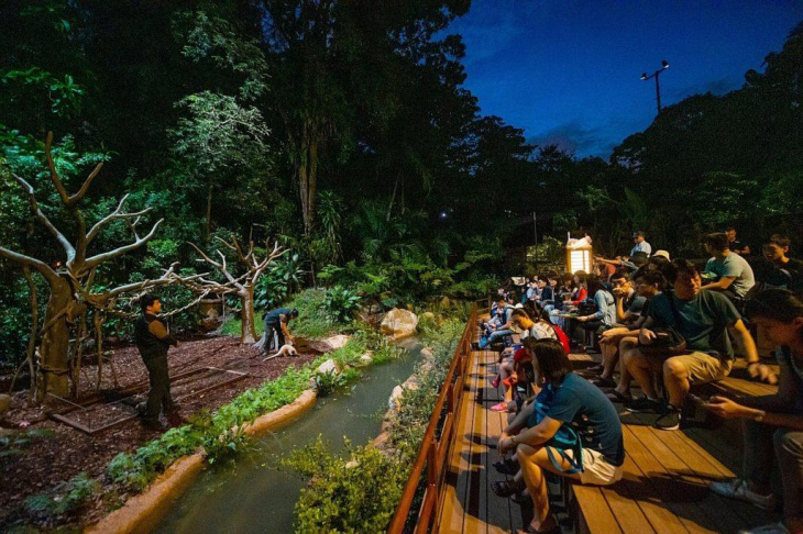 Địa điểm du lịch Singapore Night Safari có gì hấp dẫn?, Khám Phá