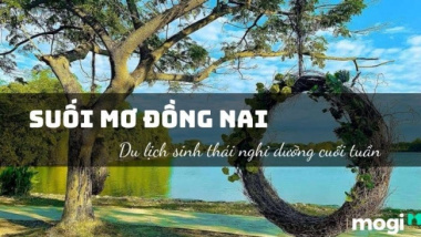 Suối Mơ Đồng Nai – Địa Điểm Du Lịch Giải Stress Sát Cạnh Sài Gòn