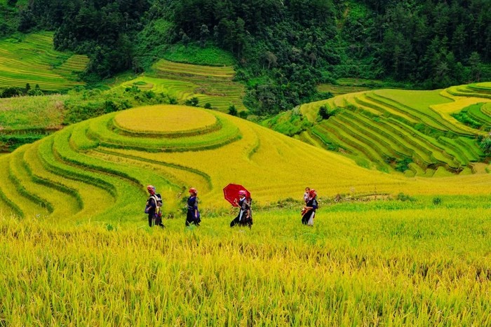 khám phá, trải nghiệm, đi du lịch mù cang chải tháng 10 còn lúa chín không?