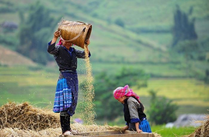 khám phá, trải nghiệm, đi du lịch mù cang chải tháng 10 còn lúa chín không?