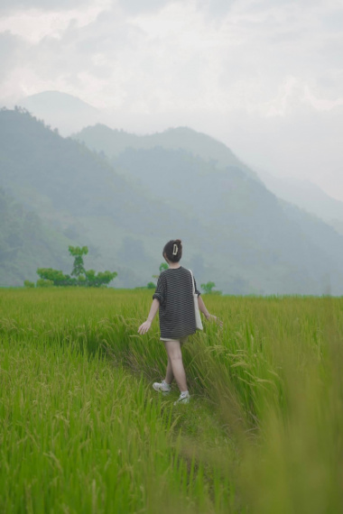 Trải nghiệm 2N1Đ bắt trọn khoảnh khắc của cánh đồng lúa Sapa cùng thành viên Việt Nam Ơi