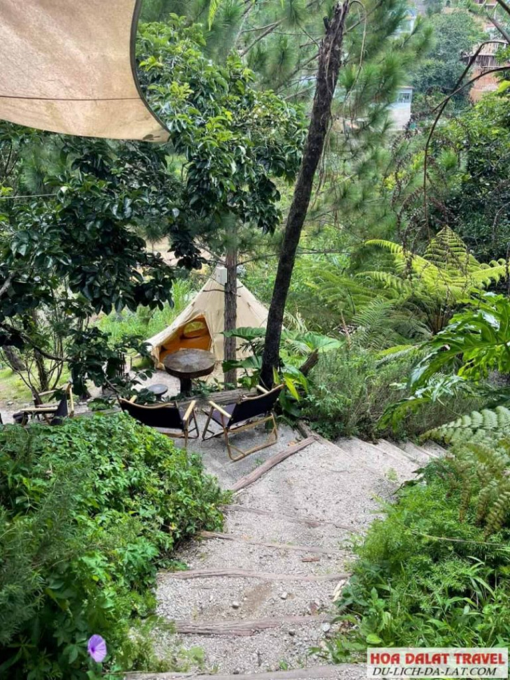 kinh nghiệm, natureside đà lạt: quán cafe view rừng nhiệt đới hot rần rần ở đà lạt