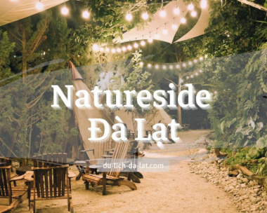 Natureside Đà Lạt: Quán cafe view rừng nhiệt đới hot rần rần ở Đà Lạt