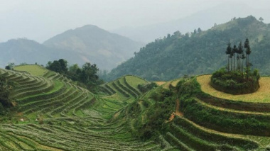 Explore Thong Nguyen Ha Giang, and admire the beautiful terraced fields that you don’t want to go back