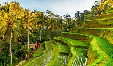 Ngôi làng Ubud ở ở Bali, Indonesia