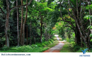 Vườn Quốc gia Côn Đảo – Bảo tàng rừng của Việt Nam