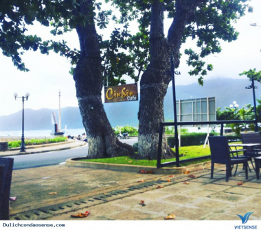 Những quán cà phê lộng gió ở Côn Đảo