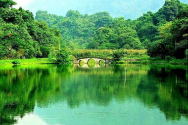 Hướng dẫn di chuyển du lịch vườn Quốc gia Cúc Phương – Ninh Bình