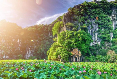 Mùa sen nở rộ – Đừng bỏ lỡ checkin mùa sen đẹp nhất ở Hang Múa Ninh Bình