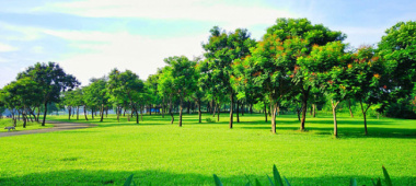 Công viên Yên Sở địa điểm vui chơi gần Hà Nội