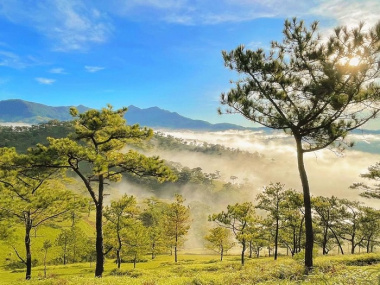 Những xứ sở sương mù ở Việt Nam là thiên đường du lịch, mùa nào trong năm cũng đẹp xiêu lòng 