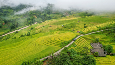 Du lịch Khám phá Sapa mùa lúa chín