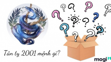 Tân Tỵ 2001 mệnh gì? Tử vi chính xác cho người sinh năm 2001