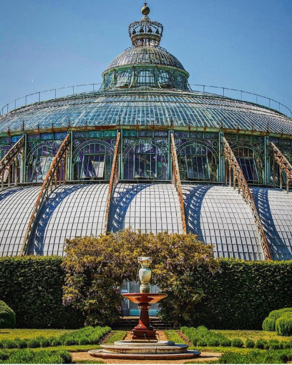 nhà kính hoàng gia laeken bỉ, khám phá, trải nghiệm, chiêm ngưỡng những loài thực vật tuyệt đẹp trong nhà kính hoàng gia laeken bỉ