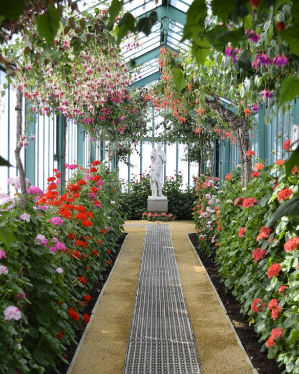 nhà kính hoàng gia laeken bỉ, khám phá, trải nghiệm, chiêm ngưỡng những loài thực vật tuyệt đẹp trong nhà kính hoàng gia laeken bỉ