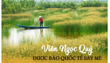 1 place in Vietnam is called ‘Jewel’ by the international travel website: Ecological enthusiast’s dream