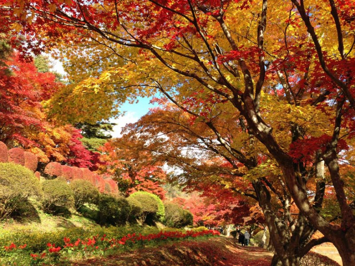 8 địa điểm ngắm lá đỏ đẹp nhất ở fukushima