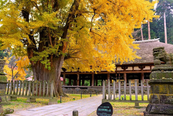 8 địa điểm ngắm lá đỏ đẹp nhất ở fukushima