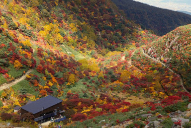 8 Địa điểm ngắm lá đỏ đẹp nhất ở Fukushima
