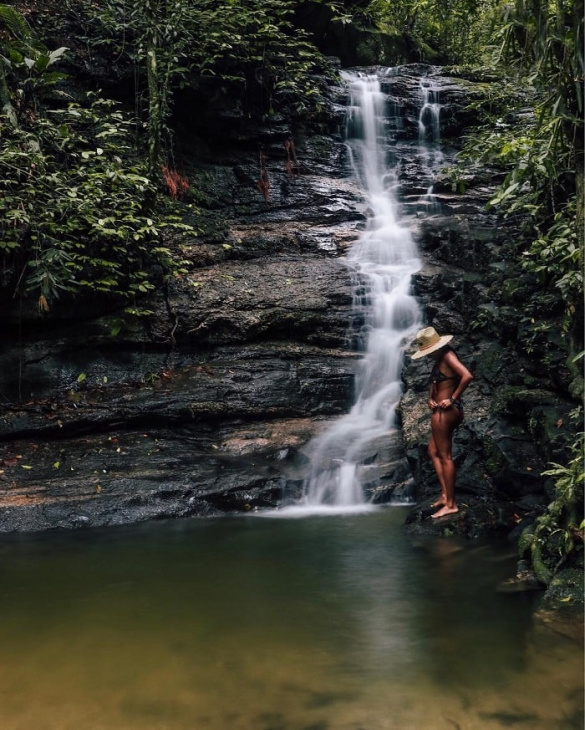 vườn quốc gia tijuca, khám phá, trải nghiệm, vườn quốc gia tijuca brazil: khu rừng đô thị lớn nhất thế giới