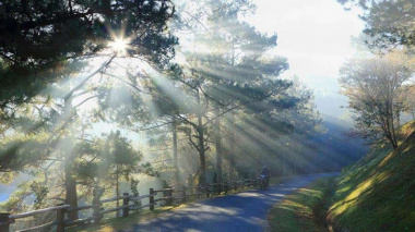 Top 8 địa điểm đồi thông đẹp nhất ở Đà Lạt cho các cặp đôi tha hồ sống ảo 