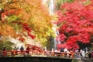Sắc thu vào mùa lá đỏ ở Osaka