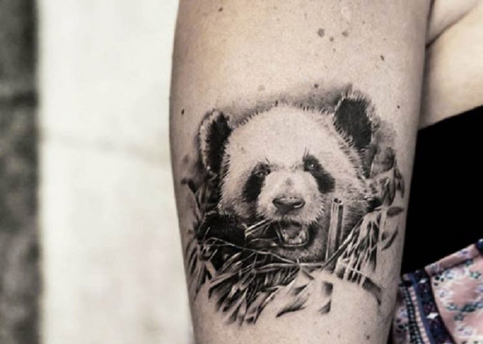 89 Hình xăm gấu trúc Panda mini CỰC dễ thương  ALONGWALKER