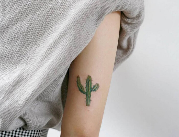Xương rồng là loài cây đặc biệt  Đỗ Nhân Tattoo Studio  Facebook