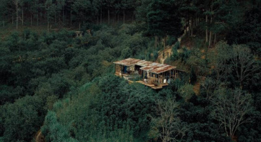 In The Forest Đà Lạt: Review quán cafe nhỏ giữa rừng cực đẹp