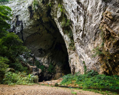 Cẩm nang khám phá vẻ đẹp của hang Én Quảng Bình đầy trọn vẹn
