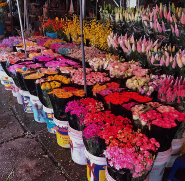 Ngắm nhìn Mùa thu Hà Nội rực rỡ trong sắc hoa của chợ hoa đẹp nhất nhì thủ đô