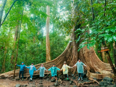 Khinh nghiệm đi tour Nam Cát Tiên khám phá đất rừng Phương Nam