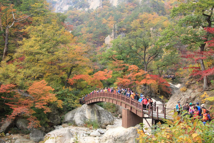 khám phá, trải nghiệm, du lịch gangwon: thiên đường mùa thu của xứ kim chi