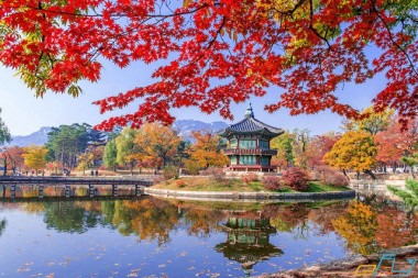 Du lịch Gangwon: Thiên đường mùa thu của xứ kim chi