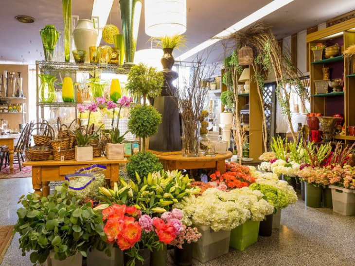 hà giang, top 10 shop hoa tươi hà giang giá tốt cho bạn tham khảo