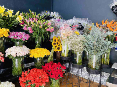 Top 10 Shop hoa tươi quận Huyện Cần Giờ TPHCM đẹp, uy tín