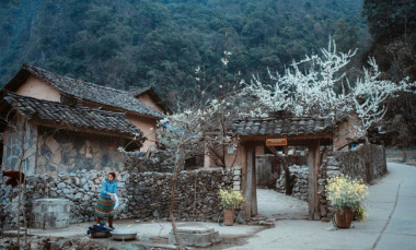 Khám phá Nhà của Pao – Ngôi nhà cổ giữa chốn rừng núi Hà Giang